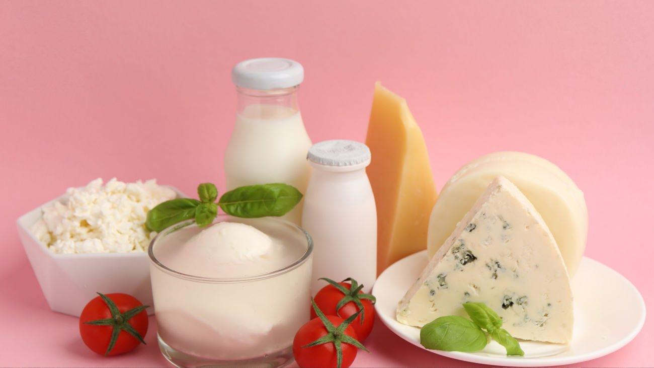 süt ve süt ürünleri