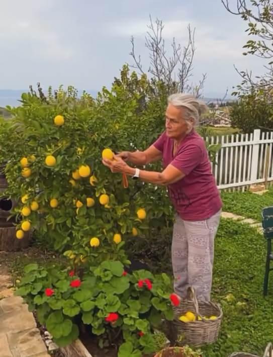 Burak Hakkının paylaşımından bir kare
