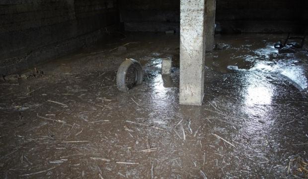 Siirt'te sağanak sonrası facia: 35 k&uuml;&ccedil;&uuml;kbaş akıntıya kapılarak telef oldu