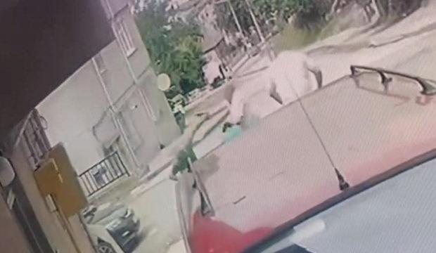 Ağabeyinin, yengesini ve yeğenini &ouml;ld&uuml;rd&uuml;! Yeni gelişme
