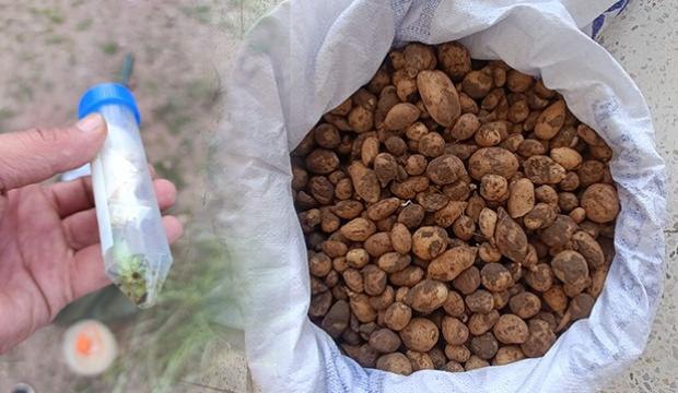 Bing&ouml;l&rsquo;de izinsiz salep toplayan ve biyoka&ccedil;ak&ccedil;ılık yapan ş&uuml;phelilere 4 milyon lira ceza