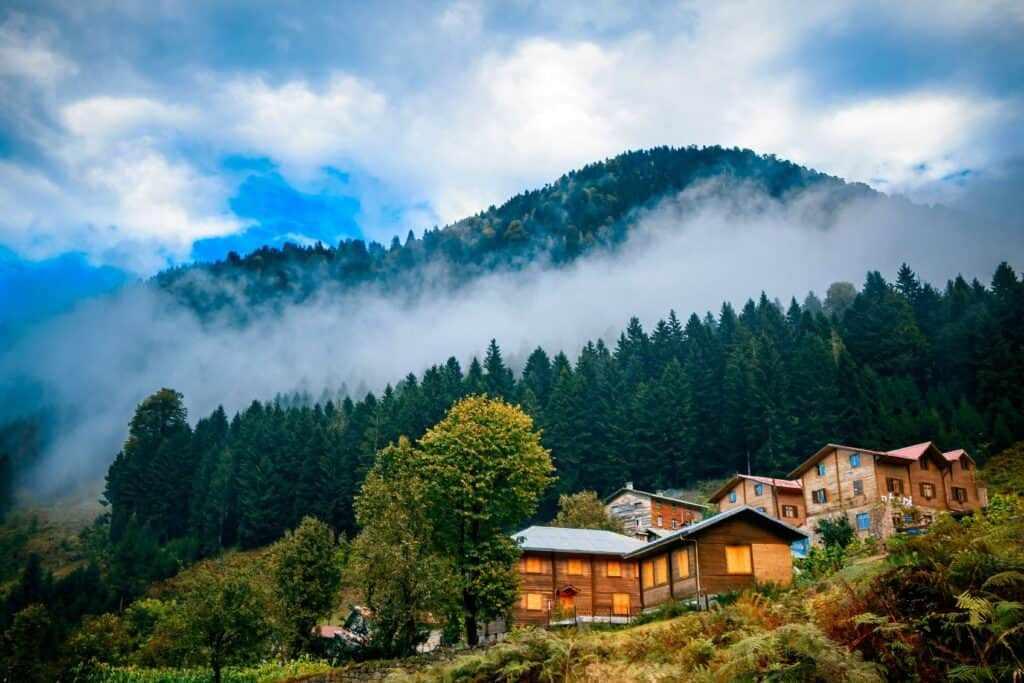 Rize