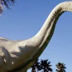 Dünyanın en büyük dinozorlarından biri keşfedildi: 30 metre boyunda
