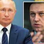 Putin: Navalny'nin öldürülmesi için talimat vermedim