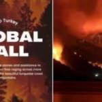 'Help Turkey' Türkiye'ye yardım edin çağrısının gerçek yüzü ortaya çıktı