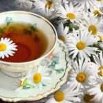 Hamilelikte papatya çayı içilir mi? Papatya çayının faydaları nelerdir?