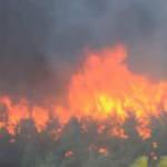 Uzmanından orman yangıları için ‘risk haritası' önerisi