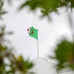 Cezayir, Fransa Büyükelçisi'ni Dışişleri Bakanlığına çağırdı