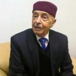 'Akile Salih de Libya'da cumhurbaşkanlığına aday olacak' iddiası
