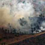 Amazonlar orman tahribatı son 15 yılın en üst seviyesine çıktı