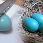 Mavi yumurtanın faydaları nelerdir? Protein deposu mavi yumurtanın normalinden farkı...