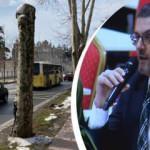 İBB Meclis toplantısında Çırağan Caddesi'ndeki 'Çınar ağacı' katliamına tepki