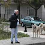 Mahra’nın ölümüne sebep olan köpekler mahallede korku salmaya devam ediyor