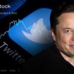 Twitter'da Musk dönemi: Cuzi ücretler olabilir