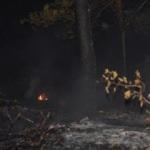 Adana'da ormanlık alanda yangın çıktı