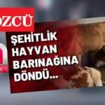 Bakanlıktan Sözcü ve Halk TV'nin “Sarıkamış Şehitliği'ni ahıra çevirdiler' haberine tepki