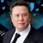 Elon Musk, kendisini Twitter'ın CEO'su olarak atadı