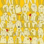 Zeka testi: Bir tavşanın ikizi yok! 'Dikkatliyim' diyenlerin bile bulamadığı testi yapabilecek misiniz?