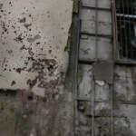 ABD'den Gaziantep'teki saldırıyla ilgili açıklama: Kınıyoruz