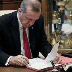 Cumhurbaşkanı Erdoğan üç hükümlünün cezasını kaldırdı