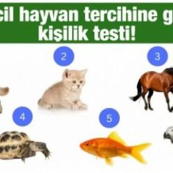 Evcil hayvan kişilik testi ile özelliklerinizi öğrenin! Evcil hayvan seçiminiz sizin için neler diyor?