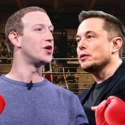 Elon Musk'tan kafes dövüşü teklifi... Mark Zuckerberg: Bana konum gönder!