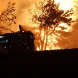 Çanakkale'de orman yangınının ilerlemesi durdu: Bakan Yumaklı'dan açıklama