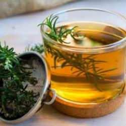 Çam yaprağı çayının faydaları ve zararları: Çam iğnesi çayı nasıl yapılır?