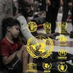 Uluslararası kuruluşlar Gazze'deki soykırıma kör! UNICEF, WHO, IEA, WFP, UNIFEM nerede?