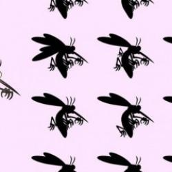 Göründüğünden daha zor görsel zekâ testi: Resimdeki sivrisineğin doğru gölgesini 36 saniyede bulabilir misiniz?