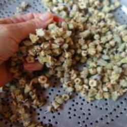 Bamya tohumunun faydaları: Kuru bamya tohumu nasıl kullanılır? Dizler için bamya tohumu...