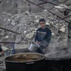 Gazze'de kıtlık: Filistinliler hayvan yemi ve otlarla hayatta kalmaya çalışıyor