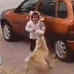Konya'da başıboş köpek çocuğa saldırdı! İşte o anlar