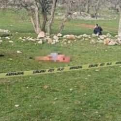 Antalya’da korkunç olay! Başıboş köpekler kadını parçalayarak öldürdü