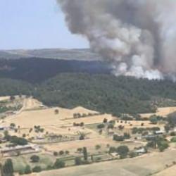 Çanakkale'de korkutan orman yangını