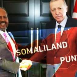 Türkiye, Somaliland krizinin çözümü için arabulucu oldu