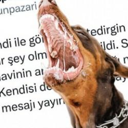 Şikayet edilen köpeği tekrar aynı yere bıraktılar! CHP'li belediye kanunu çiğnedi