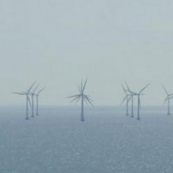 Türkiye'nin rüzgar enerjisi politikalarına övgü! 'Avrupa için vazgeçilmez'