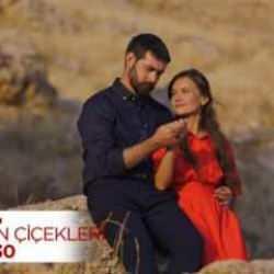 Kan Çiçekleri 381.bölüm fragmanı: Dilan ve Baran’ın romantik Mardin gezisi! Sürpriz...