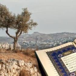 Tin suresi Türkçe ve Arapça okunuşu, Diyanet meali! Tin suresi faziletleri