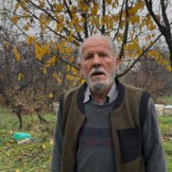 75 yaşındaki arıcı isyan etti: 80 bin nüfuslu arı birden 30 bine düştü