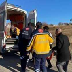 Ankara'da başıboş sokak köpekleri çocuğa saldırdı!