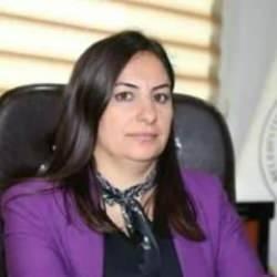 Son dakika: Siirt Belediye Başkanına hapis cezası