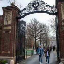 Harvard Üniversitesi Filistin'e destek ve bu yüzden ABD hükümetinin tehditine muhatap oldu