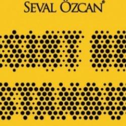 Seval Özcan'dan 'Şaşırt Beni İstanbul' sergisi