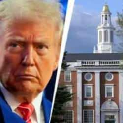 Harvard Üniversitesi'nden Trump yönetimine dava