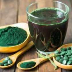 Protein şampiyonu Spirulina! Tüketenin kasları ve kemikleri beton gibi güçlü oluyor