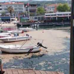 Müsilaj balıkçılara ağır darbe vurdu!