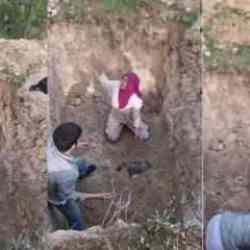 Bursa'da akılalmaz olay! Köpek cesetlerini mezardan çıkardılar, beddualar ettiler!