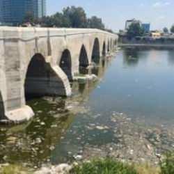 Seyhan Nehri'ndeki kirlilik İzmir Körfezinden bile beter! 